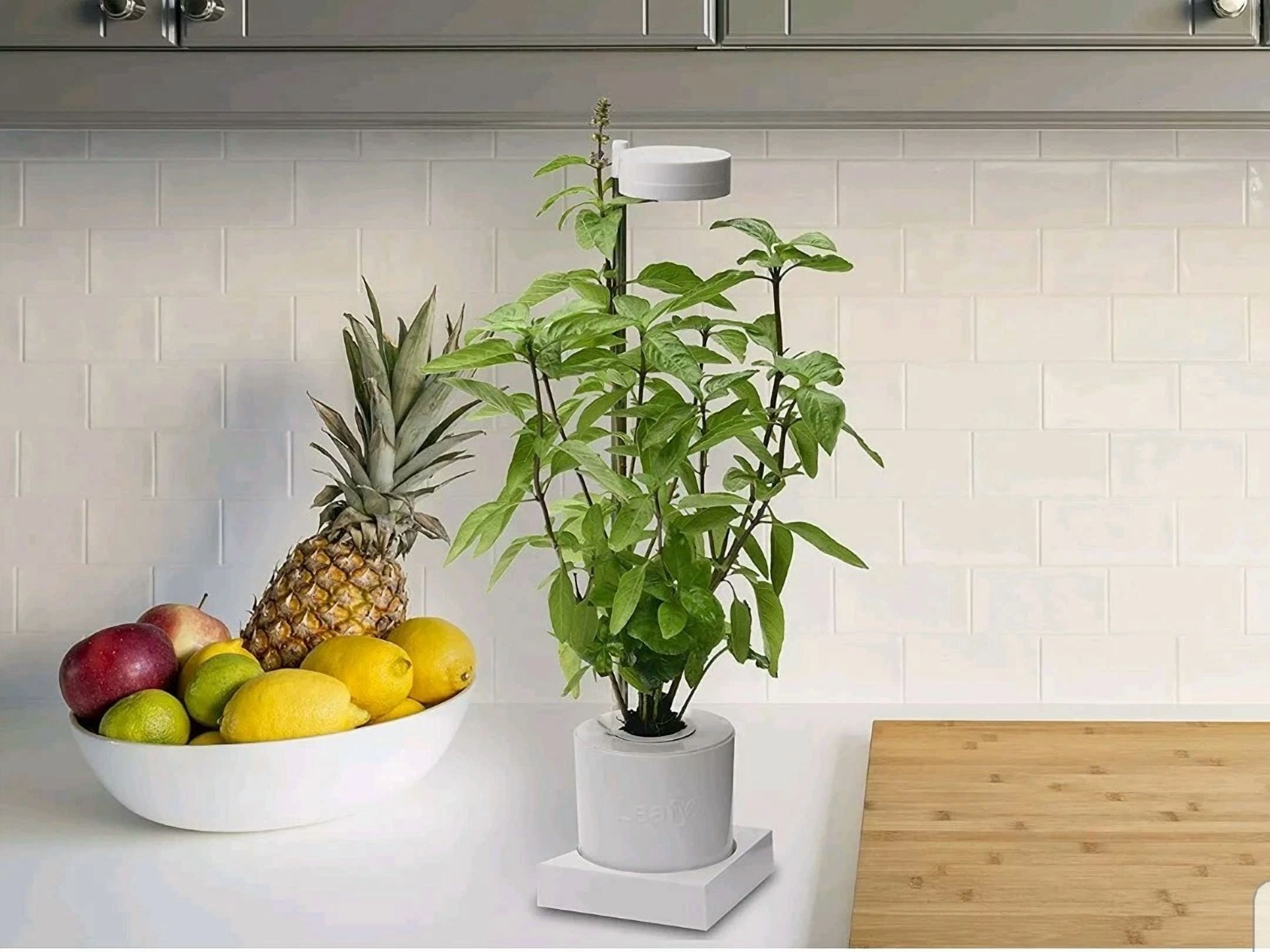 CIRCLE- Leafy Indoor Led Desktop Aerogarden Hydroponics & Grow Light System