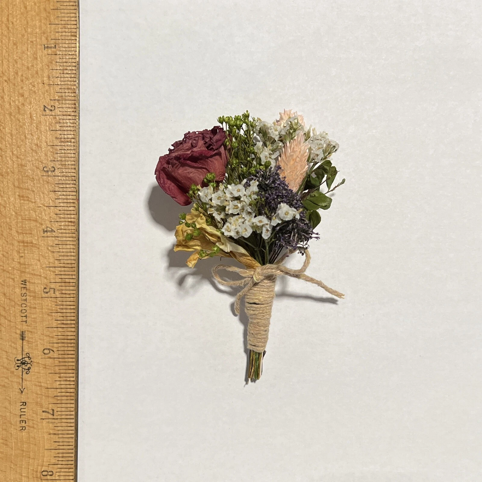 CIRCLE- Natural Dried Roses Flowers Floral Home Decor Crafting