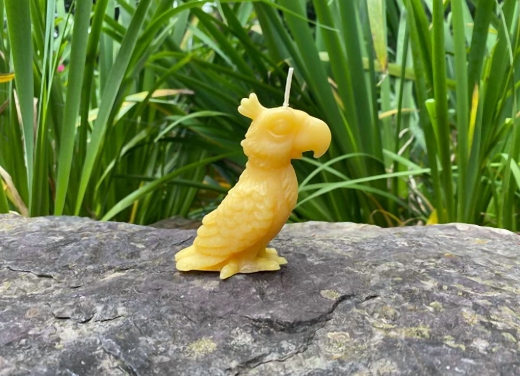CIRCLE- Parrot Beeswax Candles Usa Natural Bees Wax, Animal Collection, Feathers, Macaw