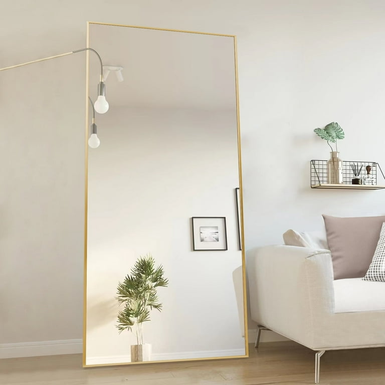 21x64 Full-length Mirror Floor Mirror Wall Bedroom Mirror Stand Alloy  Frame