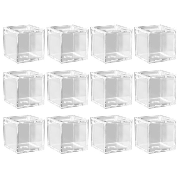 CIYISON 12 Pcs Small Acrylic Box with Lid Christmas Gift Packing Box Clear Candy Containers Display Boxes Mini Storage Box
