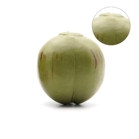 CIYISON Artificial Coconut Fake Coconut Simulation Coconut Plastic Decorative Fruit