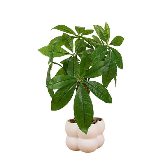 CIYISON Artificial Money Tree Potted Plant for Office Living Room Kitchen Countertop