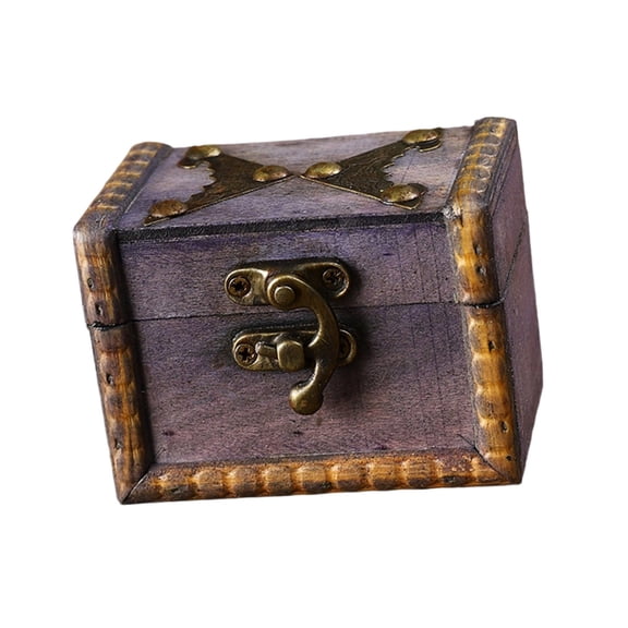 CIYISON Classical Decorative Secure Storage Case with Combination Locking For Homes