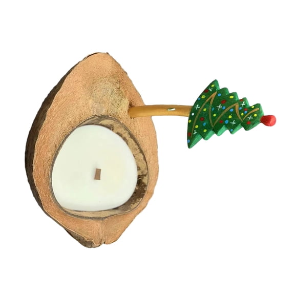 CIYISON Coconuts Shell AromaWax Scented Candle Coconuts Bowl AromaWoodCore Candle Cup