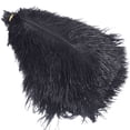 thumbnail image 1 of CIYISON Colored Ostrich Feather 10Pcs for Photography Props Flower Arrangement DIY Decor, 1 of 20