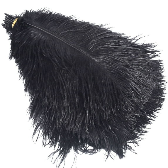 CIYISON Colored Ostrich Feather 10Pcs for Photography Props Flower Arrangement DIY Decor