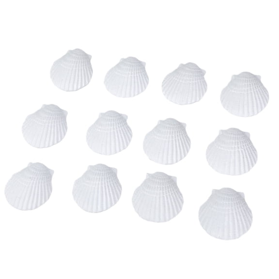 CIYISON Decorative Shell 4.5cm Display Art