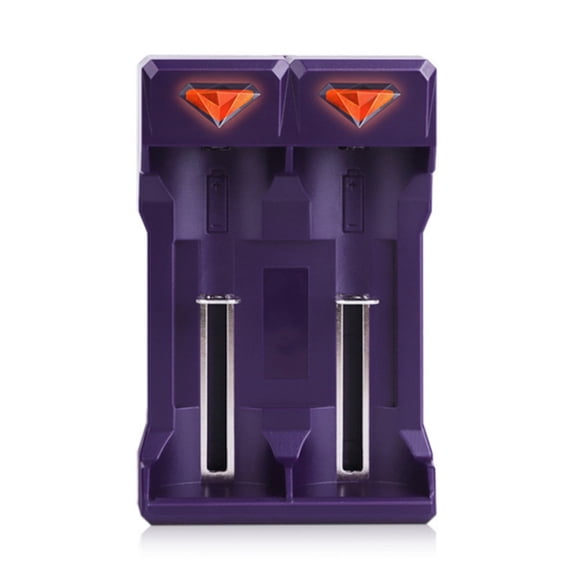 CIYISON Fast Charging USB Battery Charger For 2A/3A Batteries With LED Indicators