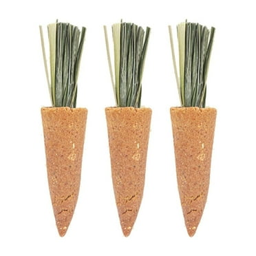CIYISON Hamster Treat Rabbit Chew Toy Animal Chew Carrots Natural Nutrient Molar Toy
