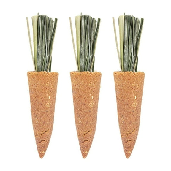 CIYISON Hamster Treat Rabbit Chew Toy Animal Chew Carrots Natural Nutrient Molar Toy
