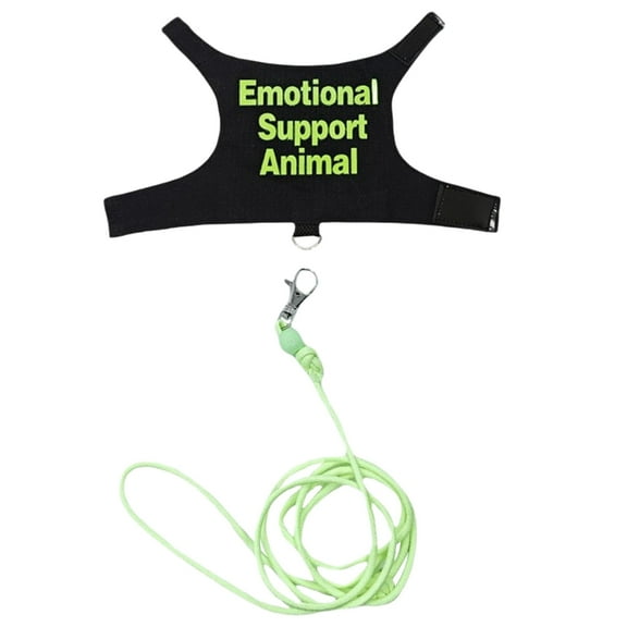 CIYISON Multicolor Regulable Harnesses Suit Bearded Dragon Leashes Escape Proof for Bearded Dragon Outdoor Exploration