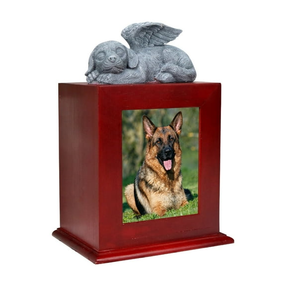 CIYISON Pet Memorial Gifts Dog Urns with Photo Frame for Deceased Dog Remembrance