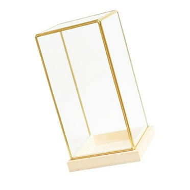 CIYISON Protective Glass Display Case for Collectibles for Desk and Shelf Display Box