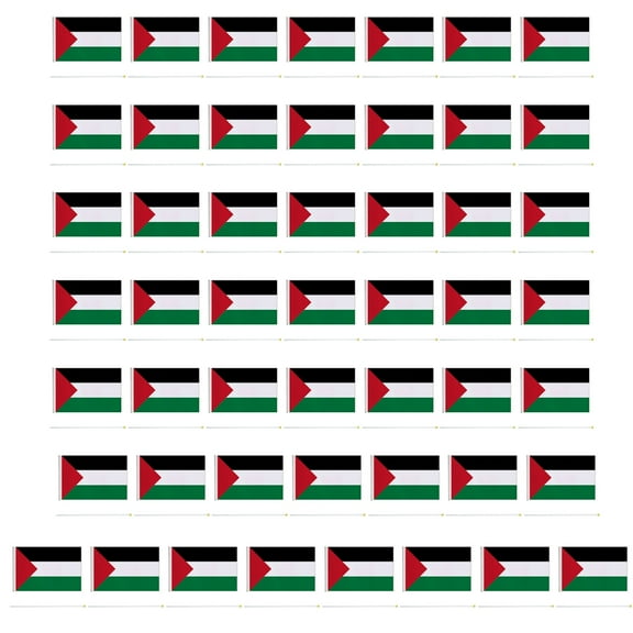 CIYISON Small Palestine Flags Set for Gathering Handheld Mini Palestine Flag for Formal Event National Flag Holiday Gift