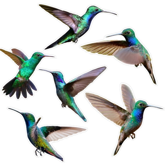 CIYISON Stylishs Bird Decals for Glass Set of 2 Window Stickers for Safety Decors