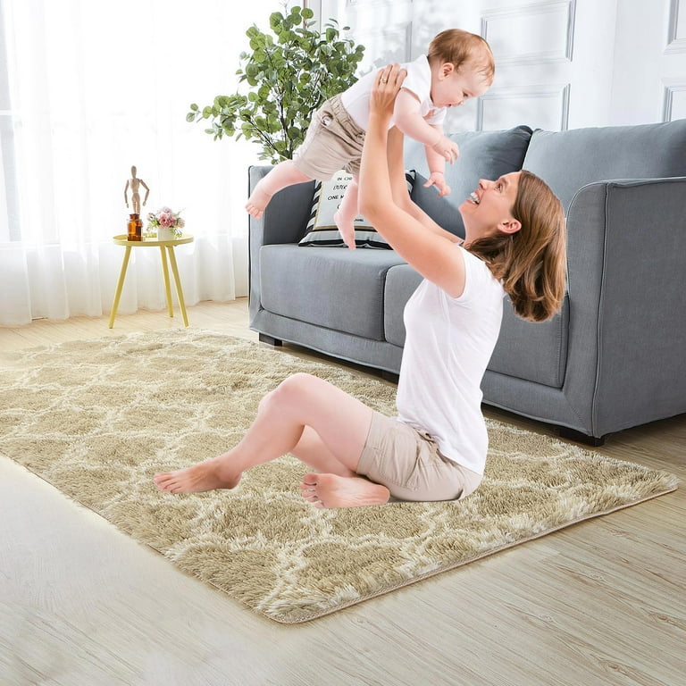CJC 47 x 71 Inch Shaggy Area Rug, Fluffy Soft Floor Mat