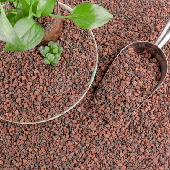 CJGQ 18lb Mix Lava Rocks for Plants - Horticultural Volcanic Rock Gravel for Landscaping Succulents Bonsai Vase Fillers Terrarium Plants Top Dring