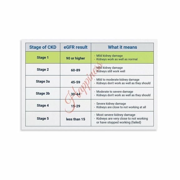 CKD Chronic Kidney Disease Stages EGFR Chart Nephrology Poster Clinic Decor Canvas Painting Wall Art
