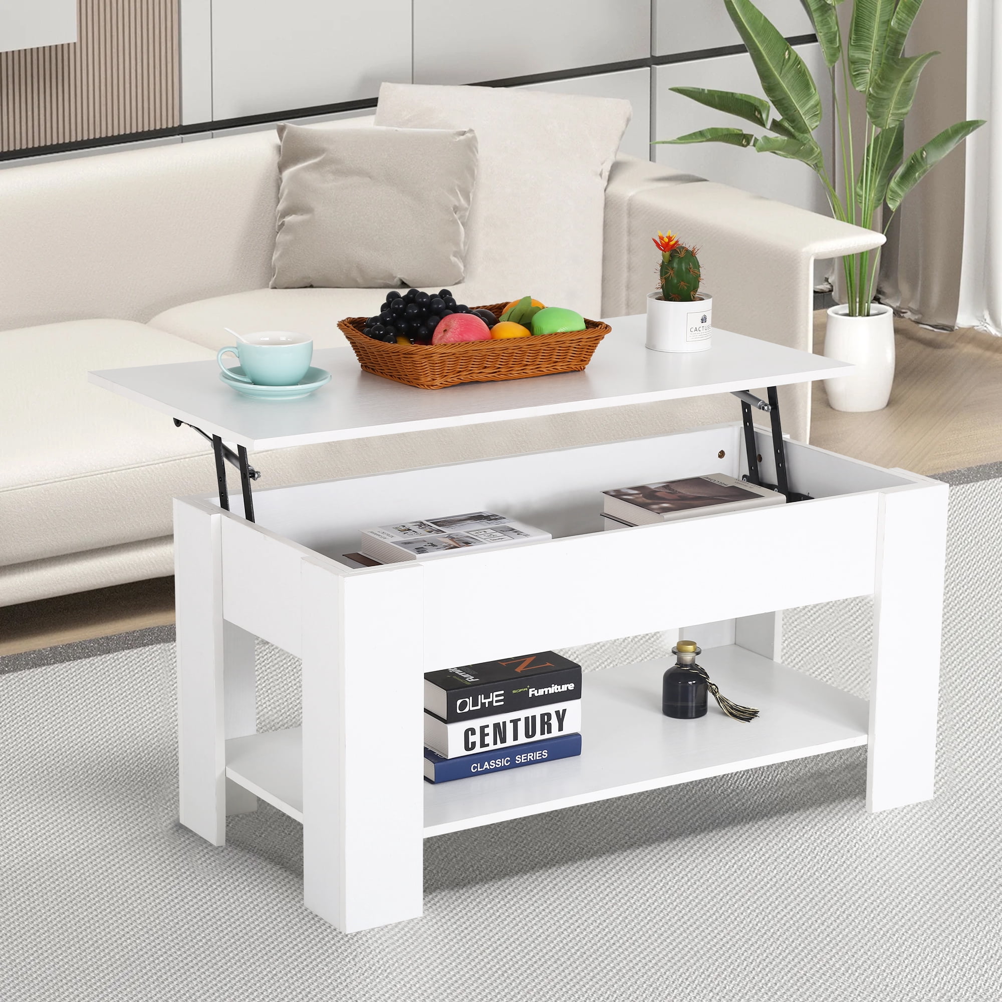 CL.HPAHKL Coffee Table with Lifting Top, Lift Top Coffee Table with ...