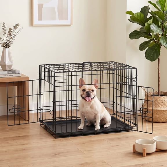 CL.HPAHKL Small Wire Dog Crate, Folding Metal Dog Kennel Double Door Dog Cage with Plastic Tray, Puppy Crate for Small Dog Indoor Outdoor Travel (Black, 24 inch)