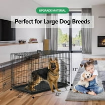 Internet's Best Double Door Steel Dog Kennel - Small 24
