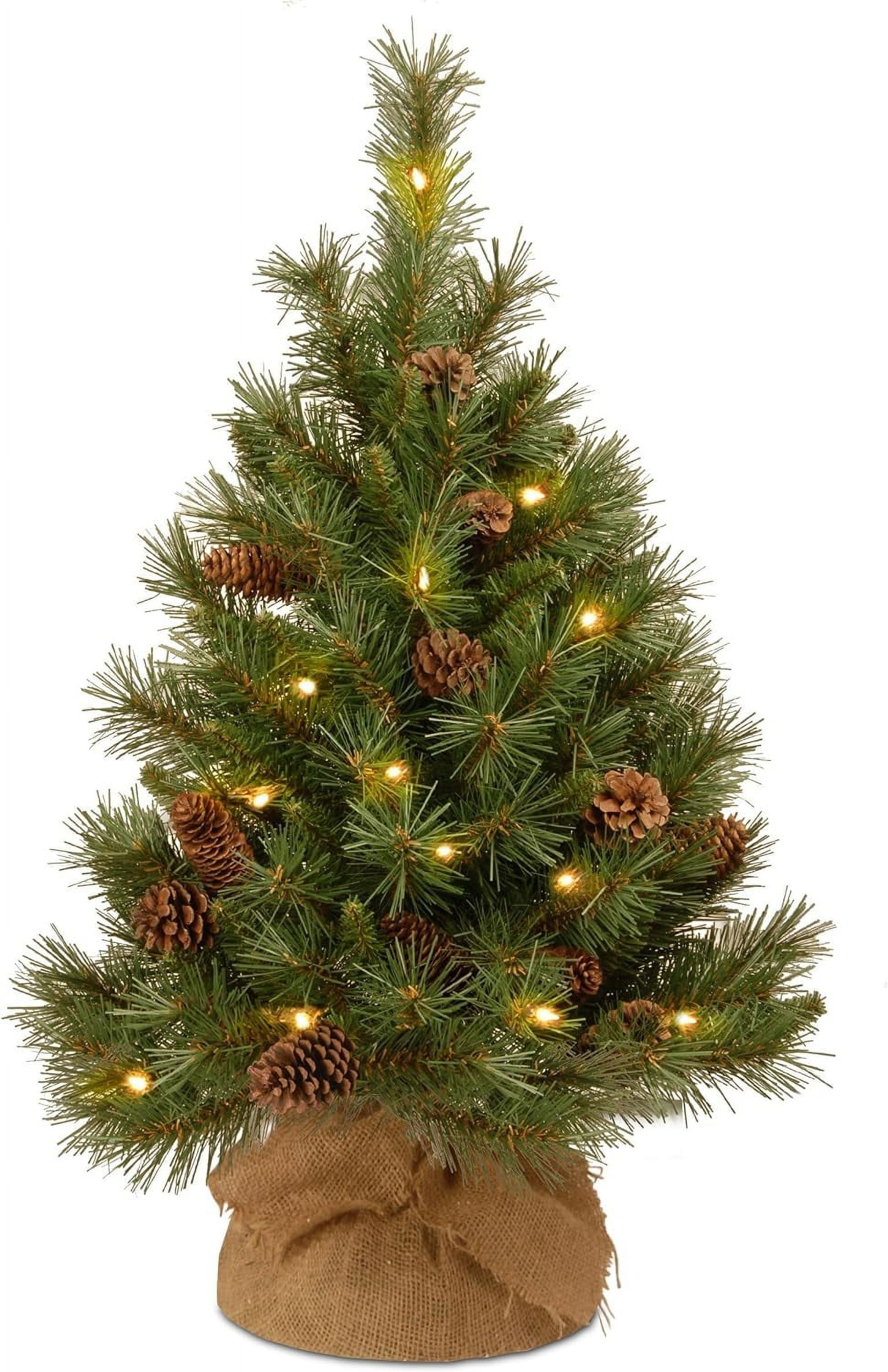 CL Pre-Lit Artificial Christmas Tree, Green, Pine Cone, White LED ...