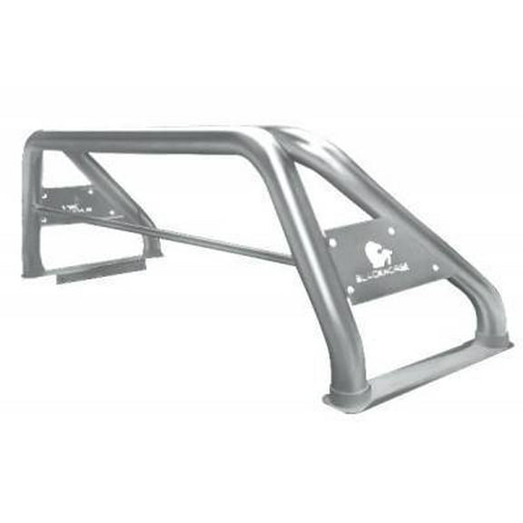 CLASSIC ROLL BAR STAINLESS STEEL Fits select: 2013-2018,2021-2022 RAM 1500