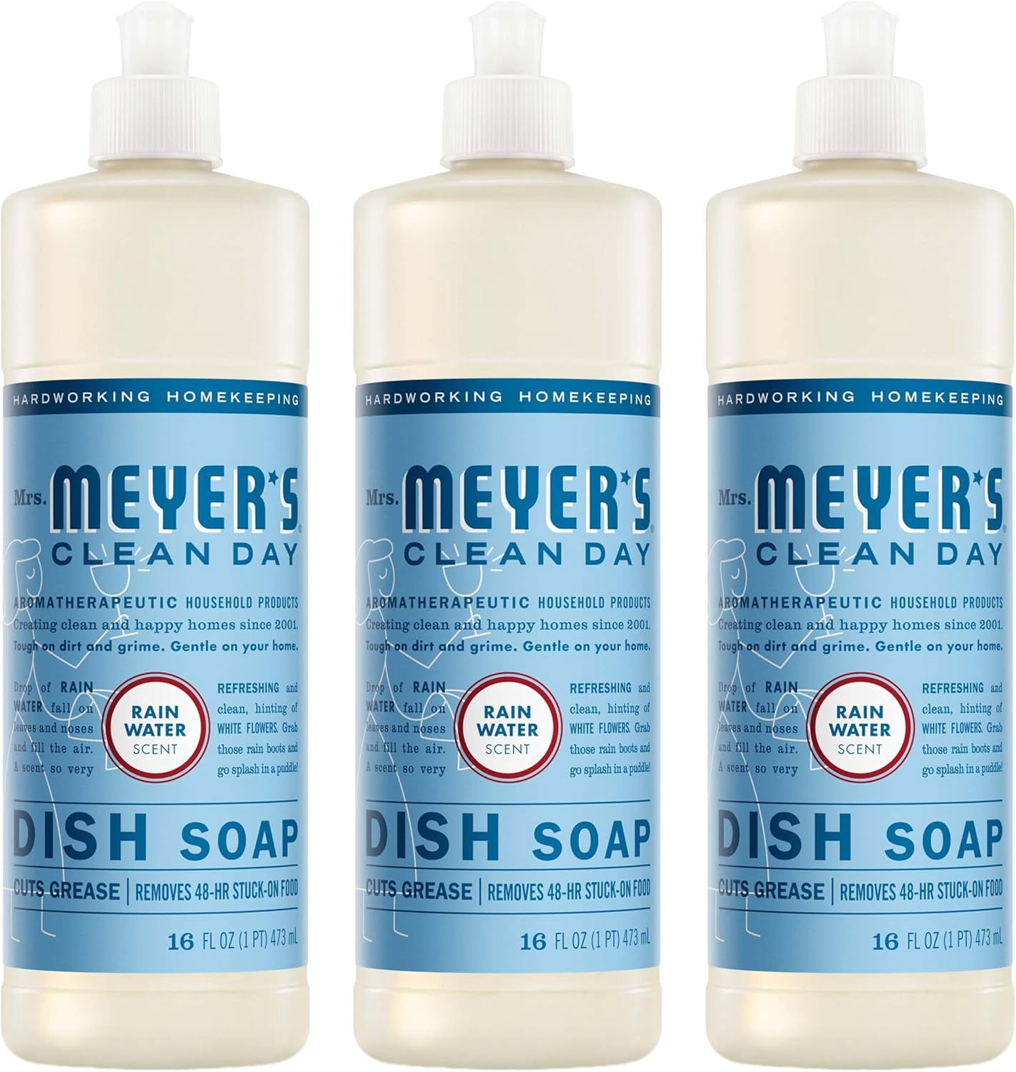 CLEAN DAY Liquid Dish Soap, Rain Water Scent, 16 Fl Oz Bottle - 3 Pack ...