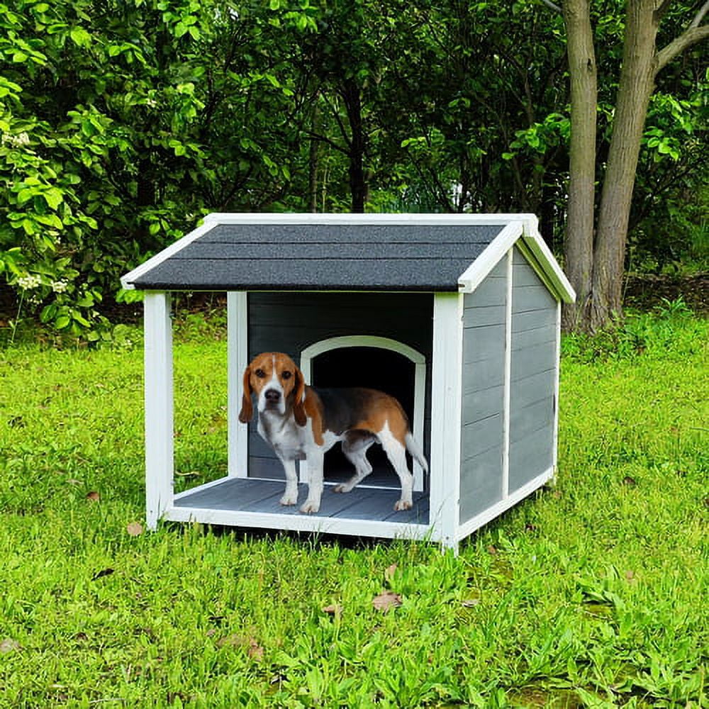 Clearance dog store houses