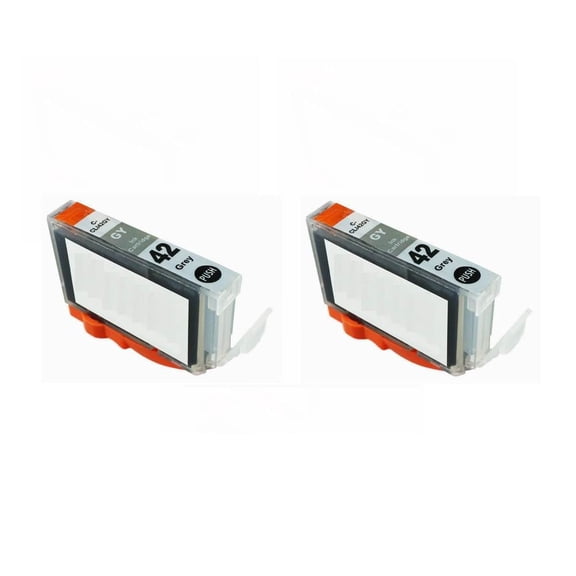 CLI-42 GY Pixma Pro-100 Compatible Ink Cartridges Replacement for CLI42 CLI-42 Gray Ink Cartridge Work for Pixma Pro-100S Printers, 2 Pack CLI-42 GY