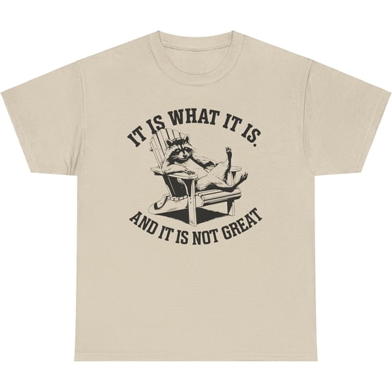 CLOTEX It Is What It Is Funny Meme Graphic Tee Quirky Unisex Humor ...
