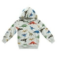 thumbnail image 1 of CM-Kid Toddler Boys Hoodies Dinosaur Graphics Pullover Long Sleeve Hooded Sweatshirt Casual Tops 3t, 1 of 6