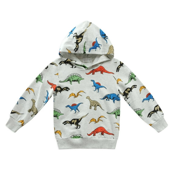 CM-Kid Toddler Boys Hoodies Dinosaur Graphics Pullover Long Sleeve Hooded Sweatshirt Casual Tops 3t
