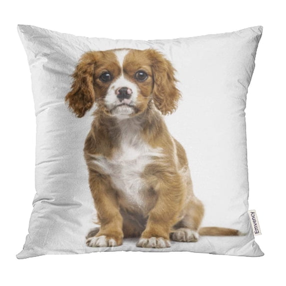 CMFUN Beige Animal Cavalier King Charles Sitting White Canine Carnivore Spaniel Cut Out Pillowcase Cushion Cover 18x18 inch