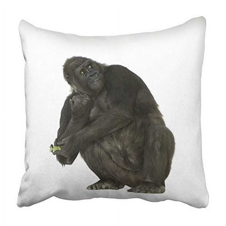 https://i5.walmartimages.com/seo/CMFUN-Black-Ape-Young-Silverback-Gorilla-in-Front-of-White-Monkey-Animal-Arm-Baby-Pillowcase-Cushion-Cover-16x16-inch_0fb68866-9bbd-4a4a-bef2-2e15f8e6ed80.ffb7b5b27bcf33ea9fdec6944844971d.jpeg?odnHeight=768&odnWidth=768&odnBg=FFFFFF