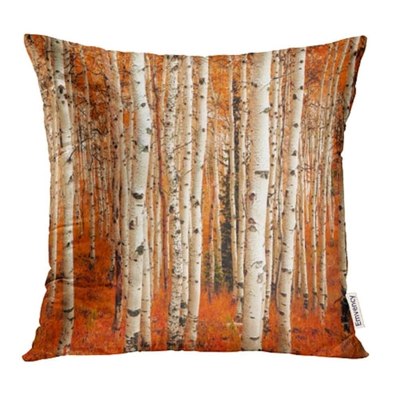 CMFUN Colorful Awesome Fall Color in Aspen Glade Utah USA Orange Amazing Nature Pillow Case Pillow Cover 20x20 inch Throw Pillow Covers