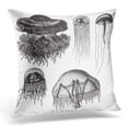 thumbnail image 1 of CMFUN Engraved White Animal Jellyfish Collection Vintage From Meyers Konversations Lexikon 1897 Black Sea Pillow Case Cushion Cover 20x20 Inches, 1 of 1