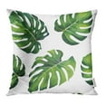 thumbnail image 1 of CMFUN Green Leaf Hand Watercolor Monstera Leaves Pattern on White Botanical Palm Tree Pillowcase Cushion Cover 20x20 inch, 1 of 1