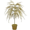 thumbnail image 1 of CMI 3.75' Unlit Artificial Christmas Tree Potted Gold Crystallized Glitter Mirrors and Beads, 1 of 3