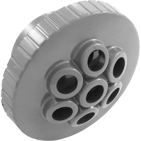 CMP Massage Spa Jet Internal 1-1/2" Gray 23315-241-000