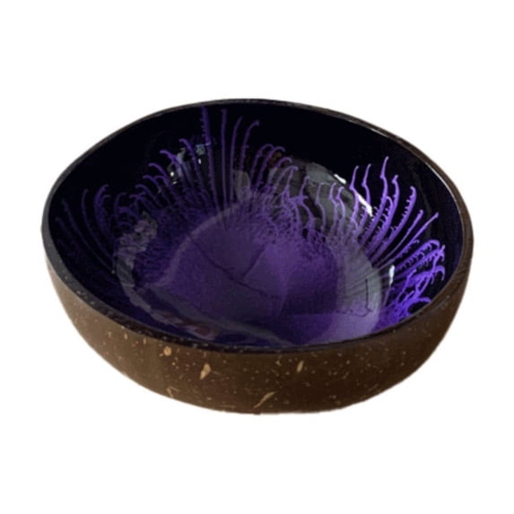 CMrtew Natural Coconut Bowls Set Decorative Storage Bowls for Keys, Candy & Entryway Table | Handcrafted Home Decor Bowl for Kitchen, Living Room & Office