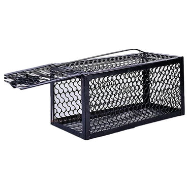 CMrtew Humane Rat Trap Outdoor, Humane Mouse Traps Indoor, Small Rodent Chipmunk Squirrel Trap and Other Live Animal Cage Catch and Release