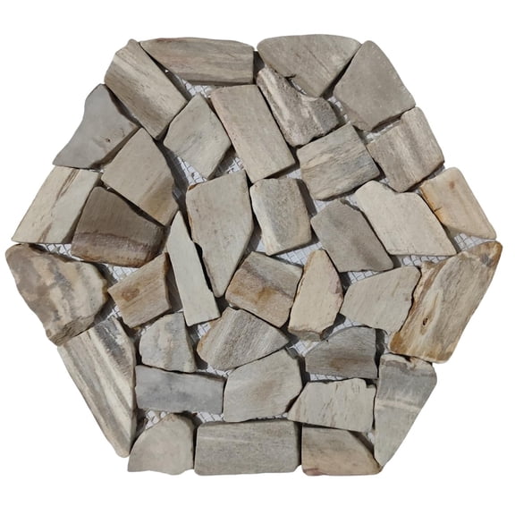 CNK Tile Petrified Wood Honeycomb Stone Mosaic Tile