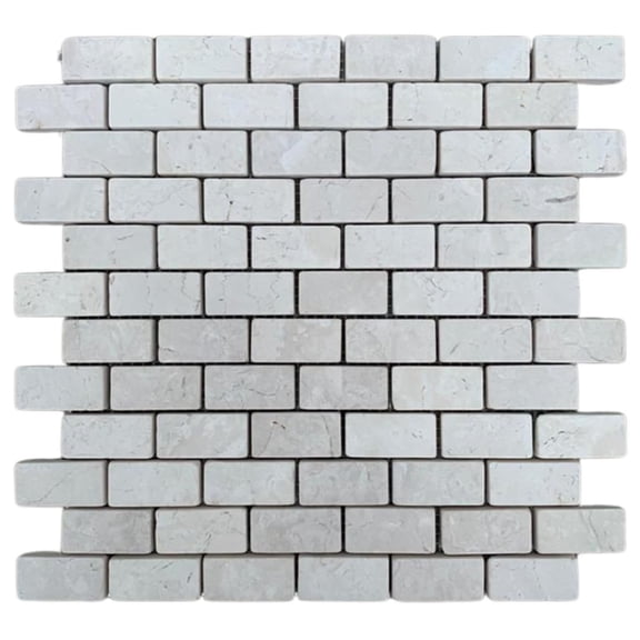 CNK Tile White Subway 1x2 Marble Mosaic Tile