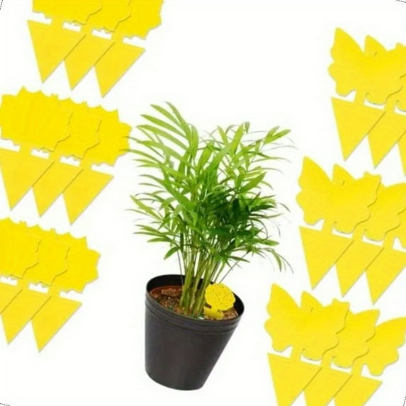 CNKOO 48pcs Sticky Fruit Fly & Gnat Traps - Non-Toxic Odorless Durable Design for Indoor & Outdoor Plant Protection Yellow Sticky Traps with Fruit Fly & Gnat Silhouettes Safe for Home