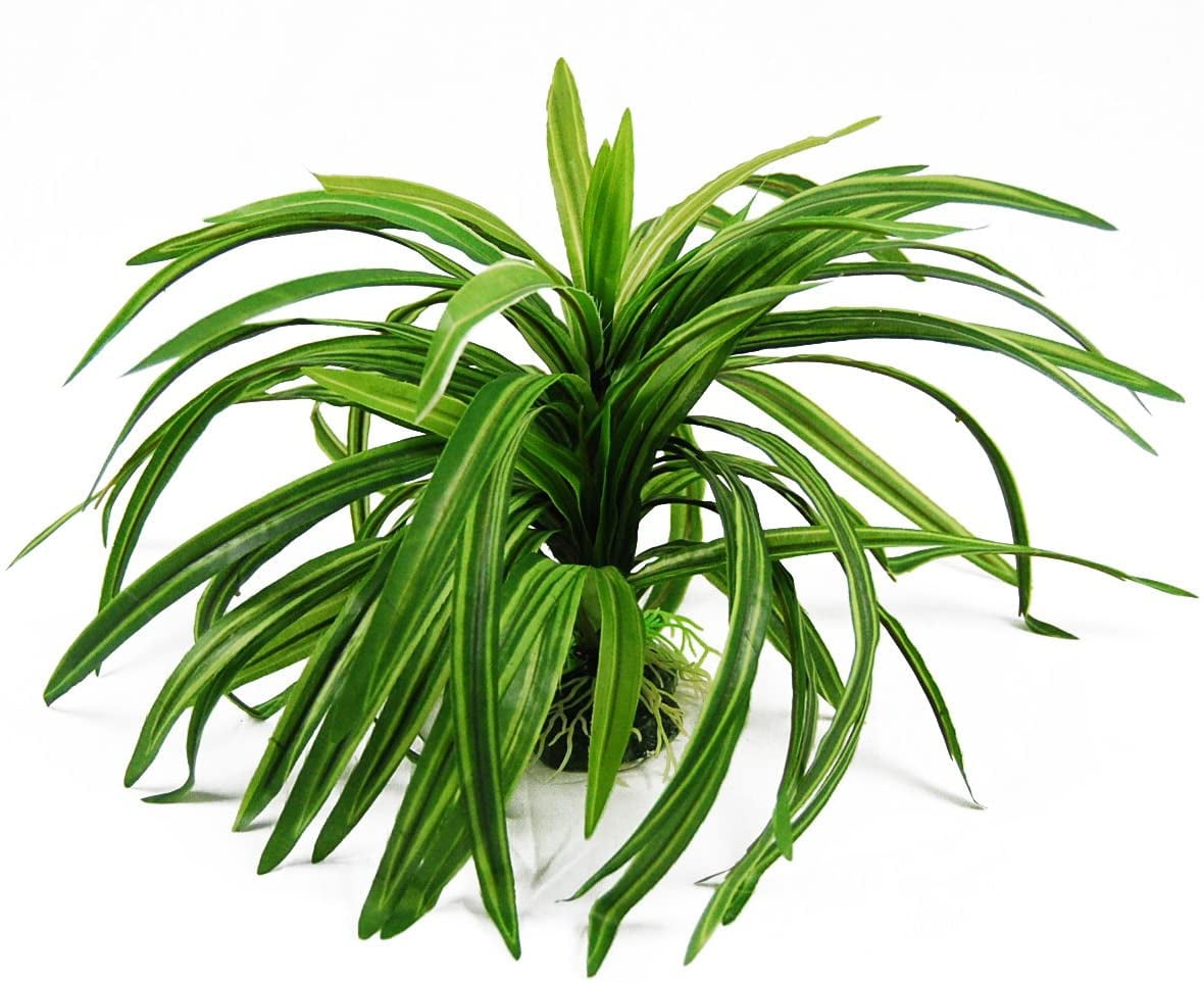 20 Best Fake Aquarium Plants for Fish Tank Decorations