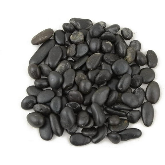 CNZ Decorative Ornamental River Black Pebble Stone for Fresh Water Fish Animal Plant Aquariums, Landscaping, Home Decor (0.5"-0.8" 5 LBS)