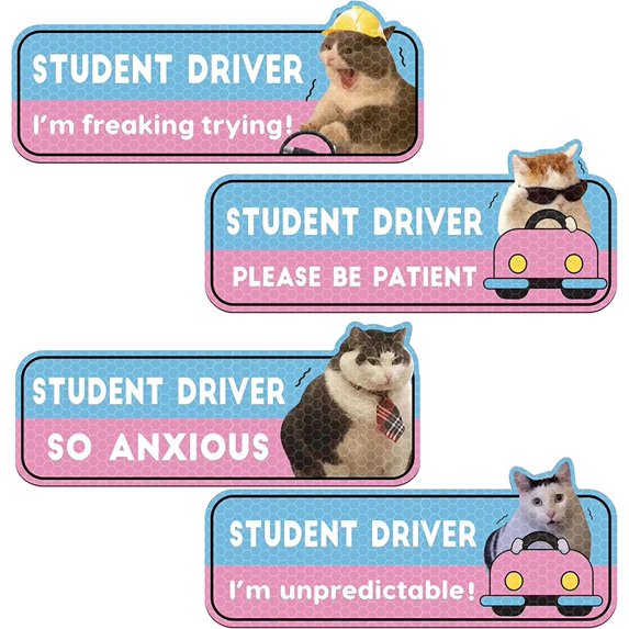 CNhoqc 4pcs Black Cat New Driver Car Magnet, Cute Shivering Cat ...