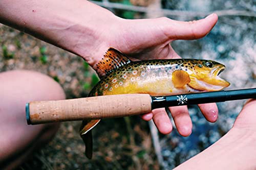 Tenaka Fly Rods Tenkara Rod
